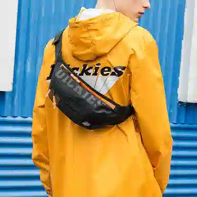 Dickies Logo