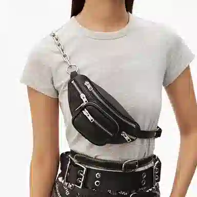 Alexander Wang Attica Mini Black