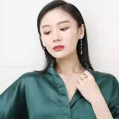 DaisyFellowes DF S925AY