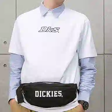 Dickies Logo