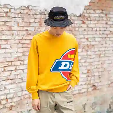 Dickies Logo