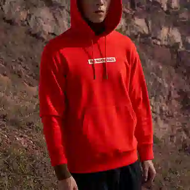 THE NORTH FACE Logo