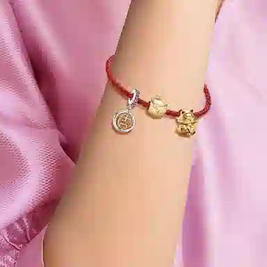Pandora Shine Rotating Charm