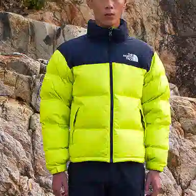 The North Face 1996 Nuptse