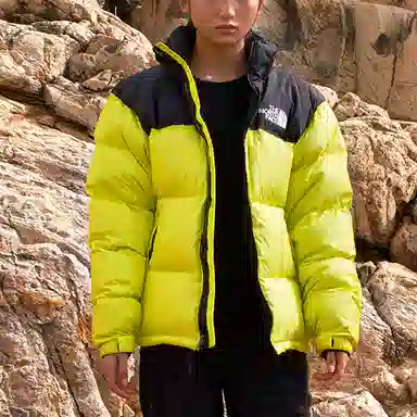 The North Face 1996 Nuptse