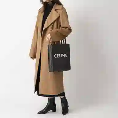 CELINE Cabas Triomphe Tote Small Brown