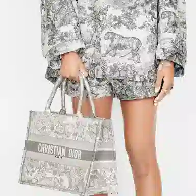DIOR BookTote Tote