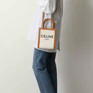 Celine Cabas Mini Beige Brown