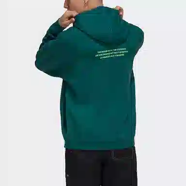 adidas originals Big Trfl Hoodie Logo