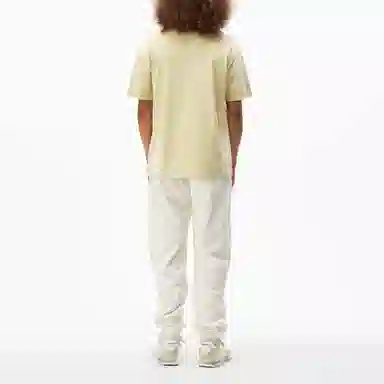 alexander wang SS21 T