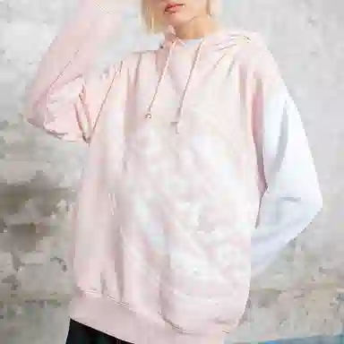 Dickies SS21 logo