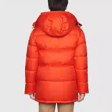 GUCCI x the north face