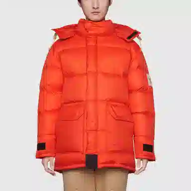 GUCCI x the north face