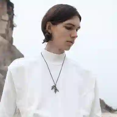 COLIMIDA