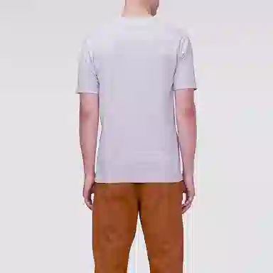 levis T