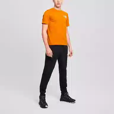 THE NORTH FACE logoT
