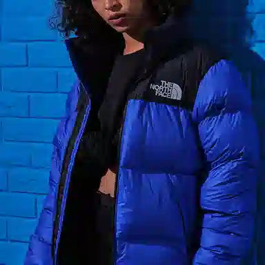 The North Face 1996 Nuptse