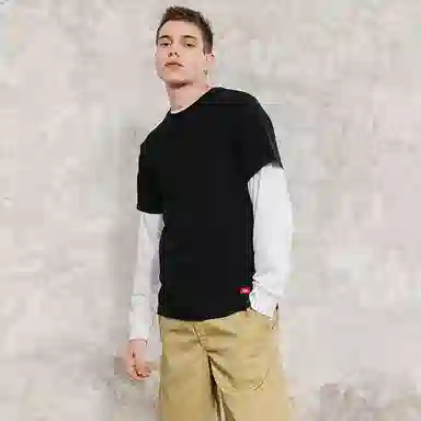 Dickies LogoT