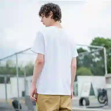 Dickies LogoT