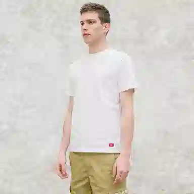 Dickies FW19 logoT