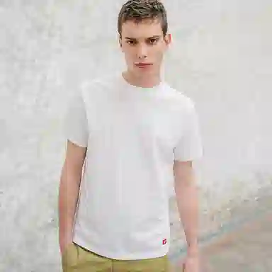 Dickies FW19 logoT