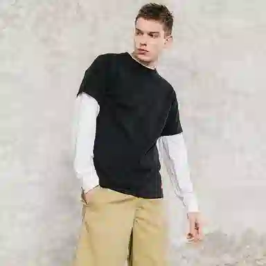 Dickies LogoT