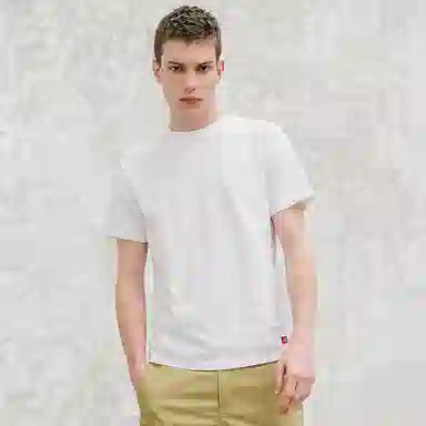Dickies FW19 logoT