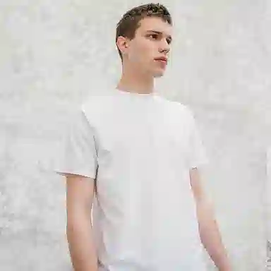 Dickies FW19 logoT