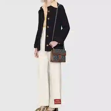Gucci Dionysus Mini