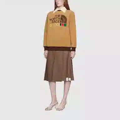 GUCCI x THE NORTH FACE Logo