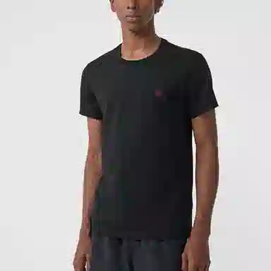 Burberry T 80038281