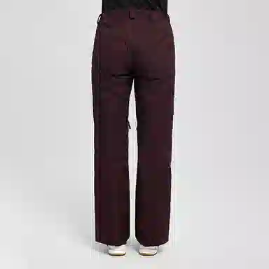 The North Face DryVent Ski Pants
