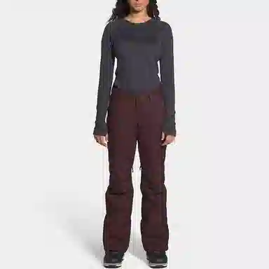 The North Face DryVent Ski Pants