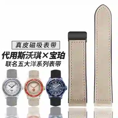 FZRT Swatch 22mm