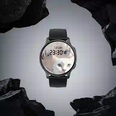ZUCK - 24 DIY