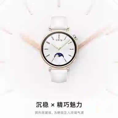 GT54 watch43progt3probudsmagic 135230mm