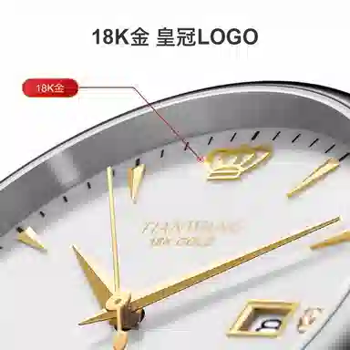 TIANWANG 18klogo 5876