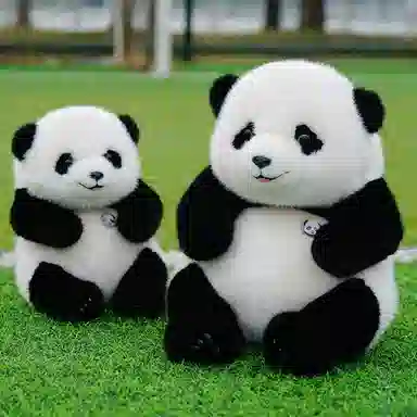 3 25cm35cm50cm70cm90cm