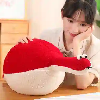 45cm60cm