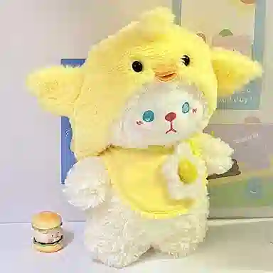 24cm