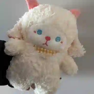 24cm