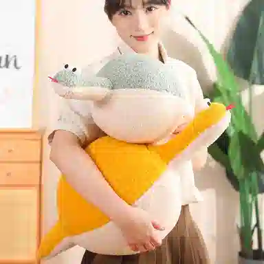 45cm60cm