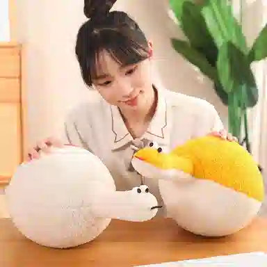 45cm60cm