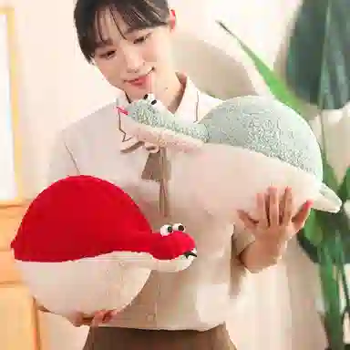 45cm60cm