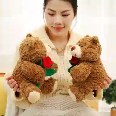 23cm