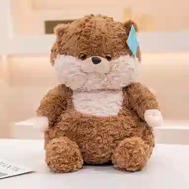25cm35cm