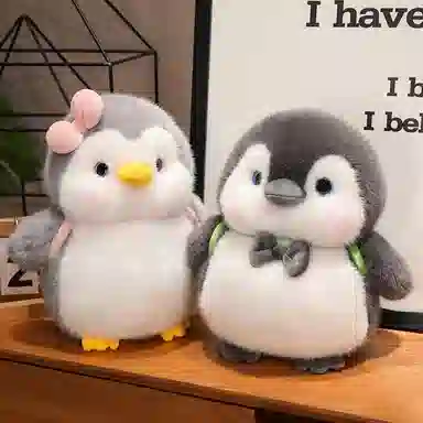 25cm35cm