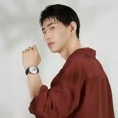 Sea-Gull 819.317 819.316