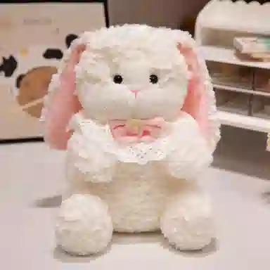 25cm35cm50cm