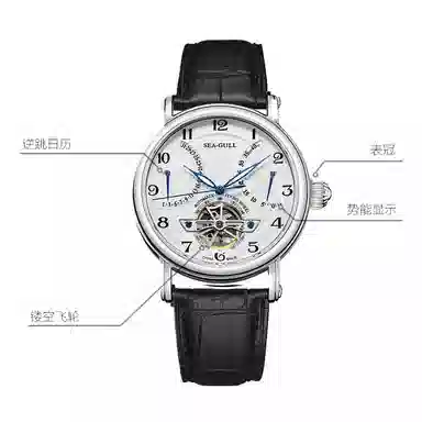 Sea-Gull 819.317 819.316